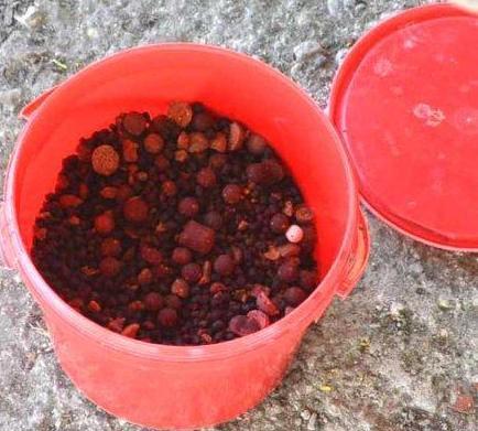 Greaca Cercani 28 - 30 mar. - dsc09171.jpg